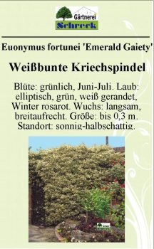 Pflanzenschilder_Schreck_Seite_494-633x1024