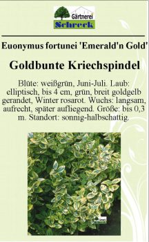 Pflanzenschilder_Schreck_Seite_495-633x1024