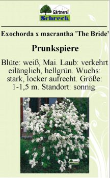 Pflanzenschilder_Schreck_Seite_496-633x1024