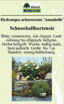 Pflanzenschilder_Schreck_Seite_502-633x1024