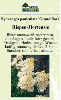 Pflanzenschilder_Schreck_Seite_503-633x1024