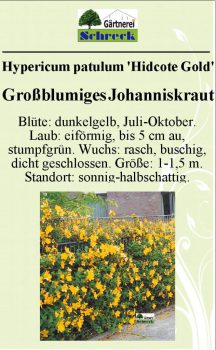 Pflanzenschilder_Schreck_Seite_504-633x1024