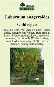 Pflanzenschilder_Schreck_Seite_509-633x1024