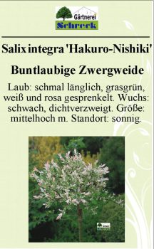 Pflanzenschilder_Schreck_Seite_533-633x1024