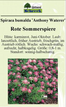 Pflanzenschilder_Schreck_Seite_537-633x1024