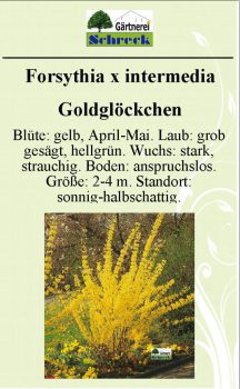 Pflanzenschilder_Schreck_Seite_575-633x1024