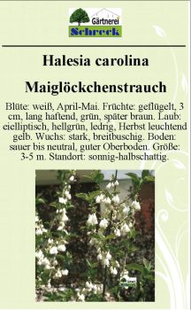 Pflanzenschilder_Schreck_Seite_576-633x1024