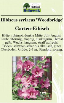 Pflanzenschilder_Schreck_Seite_578-633x1024