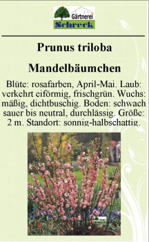 Pflanzenschilder_Schreck_Seite_592-633x1024