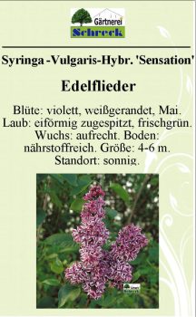 Pflanzenschilder_Schreck_Seite_599-633x1024